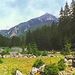 Zakopane and Tatras Mountains Day Tour from Krakow
