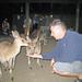 Cairns Night Zoo Safari and Barbecue Dinner
