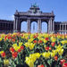 Brussels City Tour

