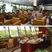 Singapore Changi Airport Plaza Premium Lounge
