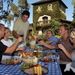 Napa Valley Wine Country Shuttle Tour

