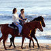 Los Cabos Horseback Riding, Los Cabos, from Viator.com