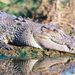 3-Day Kakadu National Park and Katherine Gorge Tour from Darwin