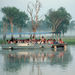 Kakadu, Nourlangie and Yellow Waters Tour with Optional Arnhem Land Flight
