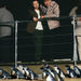 Phillip Island Little Penguins Parade Evening Tour, Melbourne, from Viator.com