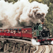 Puffing Billy Steam Train, Yarra Valley and Healesville Wildlife Sanctuary Day Tour, Melbourne, from Viator.com