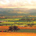 Yarra Valley Wineries and Puffing Billy Steam Train Day Tour from Melbourne, Melbourne, from Viator.com