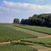 Three Day Champagne Express Package
