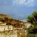 Private Half Day Tour to Um Qais
