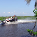 Half Day Airboat Combo Tour, New Orleans, from Viator.com