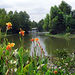 New Orleans' Cajun Bayou Tour
