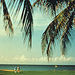 Negril Beach Tour from Trelawny, Trelawny, from Viator.com
