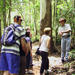 Gold Coast 4WD Eco Outback Tracks Tour