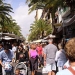 Italian Markets by Minivan
