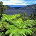 Big Island Hawaii Volcano Adventure