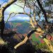 Kauai Waimea Canyon Experience
