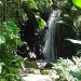 Land and Sea Adventure to Soufriere, St Lucia, Castries, from Viator.com