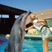 Ushaka Marine World in Durban, Durban, from Viator.com