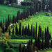 Assisi and Orvieto Full Day Tour

