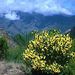 Full Day Enchanting West Madeira - Cabo Girao, Encumeada, Porto Moniz, Paul da Serra
