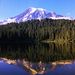 Mt Rainier Day Tour from Seattle
