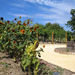 Wine Tasting Tour to the Etyek Region

