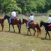 Negril Country and Western Horse Riding Tour, Negril, from Viator.com