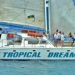 Tropical Dreamer Catamaran Cruise
