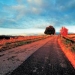 Afternoon Tour to the Chianti Region with Wine Tasting and Dinner from Florence
