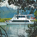 Two people travel for the price of one! Cairns Habitat Cruise and Crocodile Farm Tour