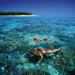 Green Island Half Day Trip from Cairns