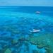 Quicksilver Outer Great Barrier Reef Cruise from Cairns, Cairns, from Viator.com