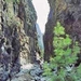 10% Off Full Day Tour to Samaria Gorge