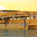 Kon Tiki Calypso Party Cruise
