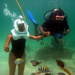 Seaquarium Adventure from Punta Cana
