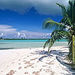 Tropical Islands of Rio de Janeiro
