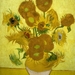 Skip the Line: Van Gogh Museum and Amsterdam Canal Bus Hop-On Hop-Off Day Pass