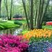 Amsterdam Super Saver