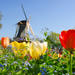 15% Off Amsterdam Super Saver: Keukenhof Gardens and Floriade 2012 Day Trip