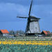 Half Day Tour to Alkmaar Cheese Market and Schermerhorn Windmills
