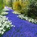 Keukenhof Garden Private Transfer with Entrance Tickets
