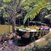 Kuranda Coach, Rainforestation and Skyrail Tour, Cairns, from Viator.com