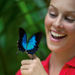 Kuranda - Scenic Rail, Butterflies, Birdworld and Skyrail Tour, Cairns, from Viator.com