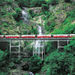 Kuranda Skyrail and Rail Tour, Cairns, from Viator.com
