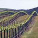 A Passion For Wine - Private Wine Tour to Azeitao
