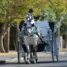 The Royal Carriage Tour
