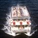 Majestic Lady Dinner Cruise
