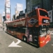 The Classic New York
