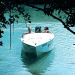 Safari Snorkel Adventures
