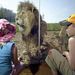 Whipsnade Zoo Tickets
